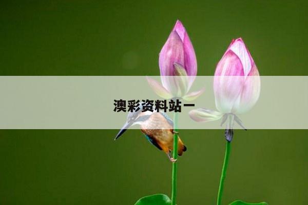 2025年5月26日 第3页