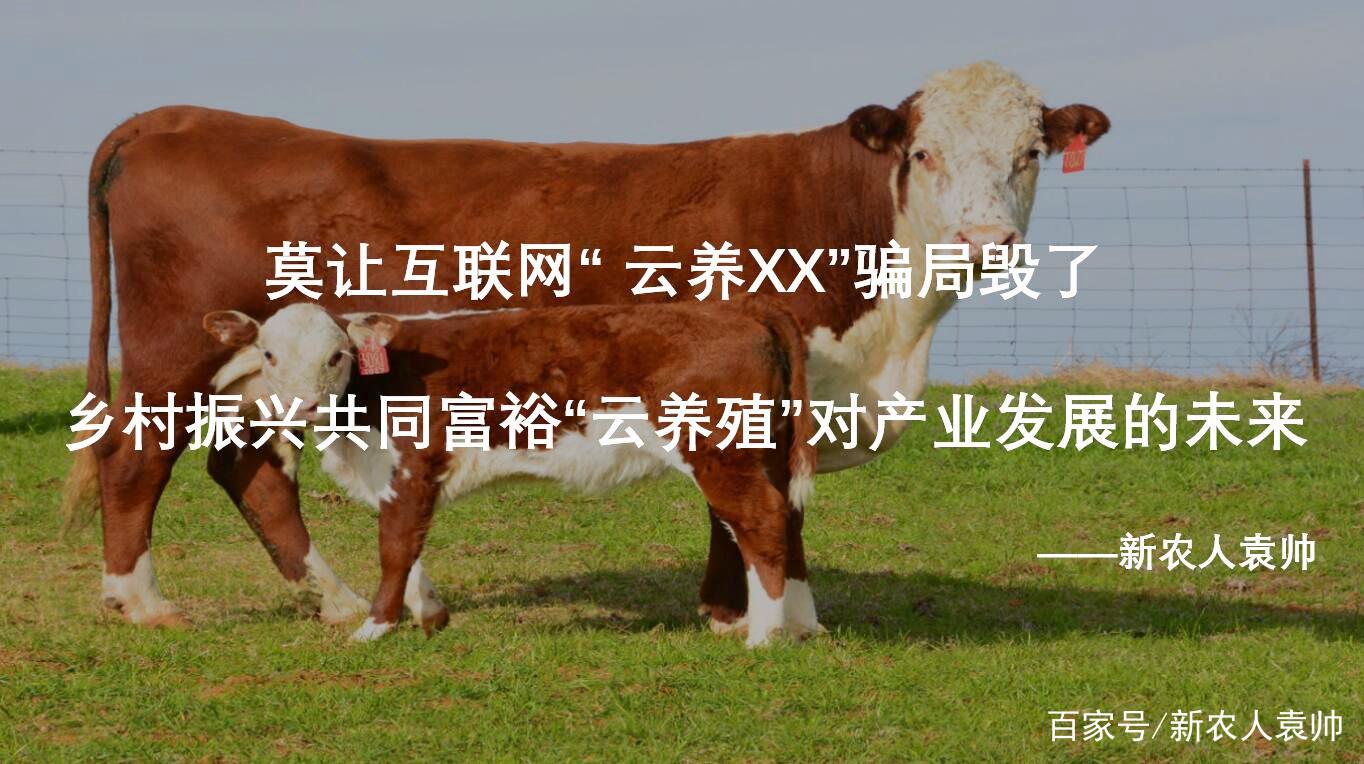 央视曝光云养殖骗局,央视曝光云养殖骗局是真的吗