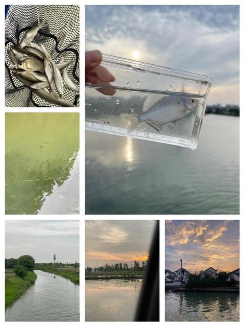 保护区里的疯狂垂钓,央视曝光保护区里的疯狂垂钓