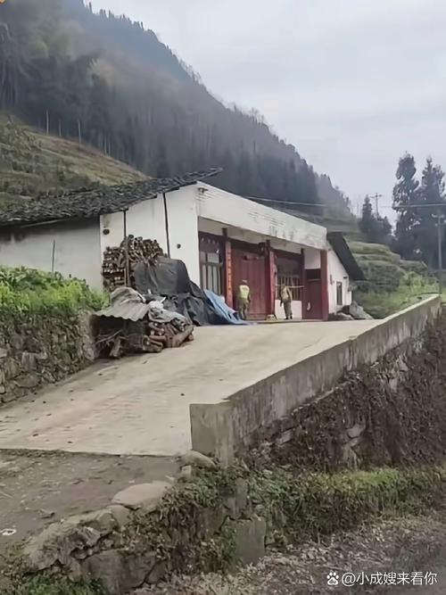 宜宾发生3.8级地震,宜宾发生3.8级地震了吗