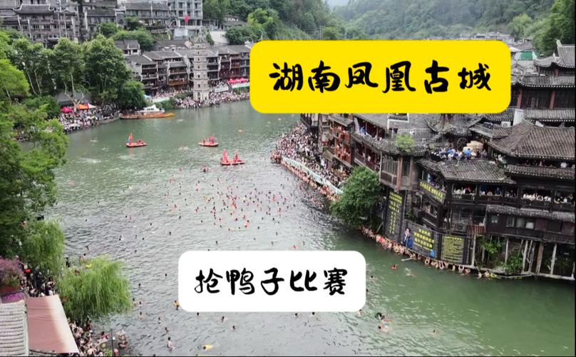 凤凰古城百人抢鸭子,凤凰古城百人抢鸭子是真的吗
