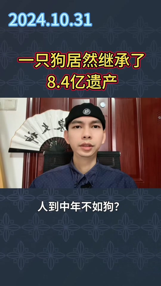 女子为4只狗立遗嘱,女子为4只狗立遗嘱视频