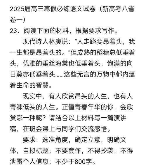 2025高考作文题,2025高考作文题目出炉
