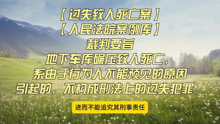 停车失误致1死2伤,男子停车失误