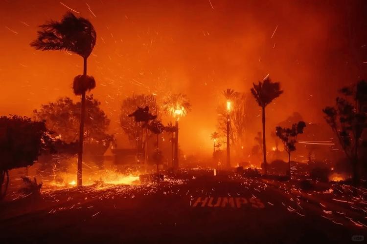 洛杉矶部分地区宵禁,洛杉矶部分地区宵禁严重吗